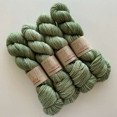 Emma's Yarn - Bodacious Bulky Yarn - 100g - Sage Before Beauty | Yarn Wor