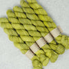 Emma's Yarn - Practically Perfect Smalls Sock Minis - 20g - Be Hoppy | Yarn Worx