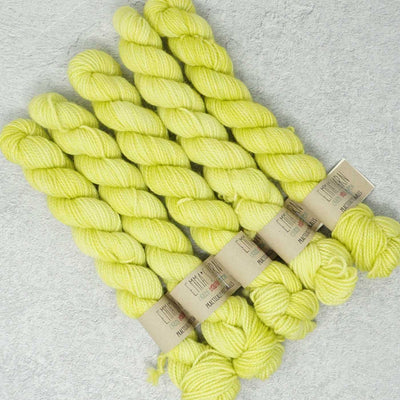 Emma's Yarn - Practically Perfect Smalls Sock Minis - 20g - Lemongrass | Yarn Worx