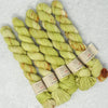 Emma's Yarn - Practically Perfect Sock Minis - 20g - Best Buds | Yarn Worx