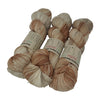 Emma's Yarn - Practically Perfect Sock - 100g - Arches