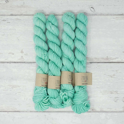 Emma's Yarn - Simply Spectacular DK Smalls - 20g - Mint to be | Yarn Worx