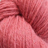 Baa Ram Ewe Eden DK - 100g shown in colourway 907 Canyon | Yarn Worx