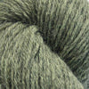 Baa Ram Ewe Eden DK - 100g shown in colourway 910 Evergreen | Yarn Worx