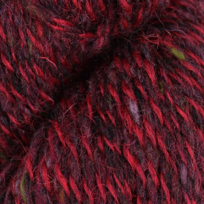 Baa Ram Ewe Donegal Twists DK - 100g shown in colourway 606-Abcan | Yarn Worx