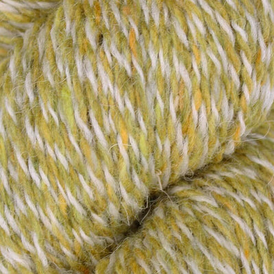 Baa Ram Ewe Donegal Twists DK - 100g shown in colourway 607-Oillipheist | Yarn Worx