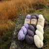 Three skeins of Baa Ram Ewe Eden DK yarn in purple, blue, and white on a rock with a natural background | Yarn Worx