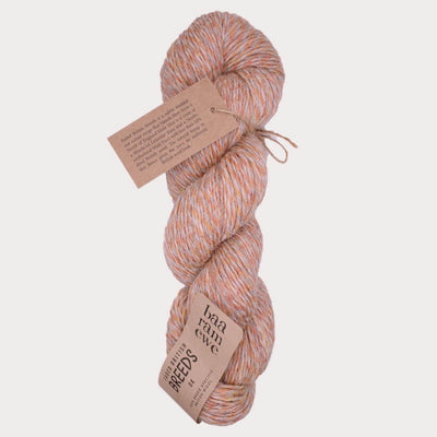 Baa Ram Ewe British Breeds DK - 100g shown in colourway Faded Pink | Yarn Worx