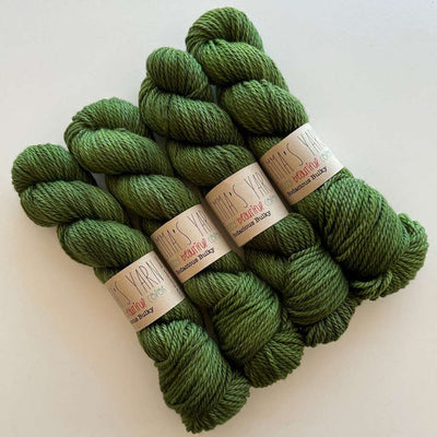 Emma's Yarn - Bodacious Bulky Yarn - 100g - Later, Gator | Yarn Wor