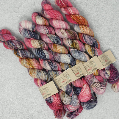 Emma's Yarn - Practically Perfect Sock Minis - 20g - She's a Dime | Yarn Worx