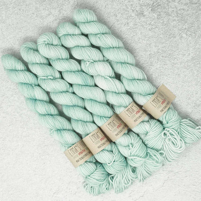 Emma's Yarn - Practically Perfect Smalls Sock Minis - 20g - Love + Leche | Yarn Worx