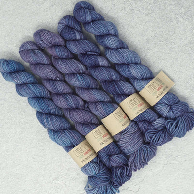 Emma's Yarn - Practically Perfect Smalls Sock Minis - 20g - Heliotrope | Yarn Worx