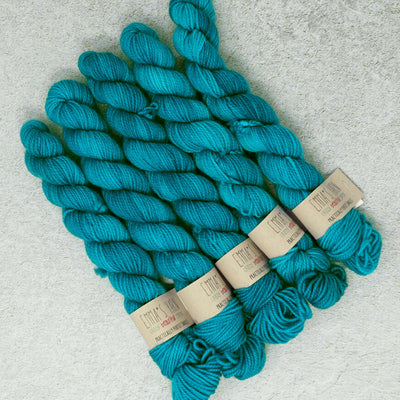 Emma's Yarn - Practically Perfect Smalls Sock Minis - 20g - Pure | Yarn Worx