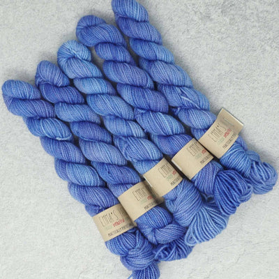 Emma's Yarn - Practically Perfect Smalls Sock Minis - 20g - Wink | Yarn Worx