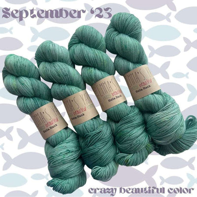 Emma's Yarn - Crazy Beautiful Colour Club - September 2023 | Yarn Worx
