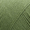 Filcolana - Arwetta - 50g shown in colour 243 Basswood Green | Yarn Worx