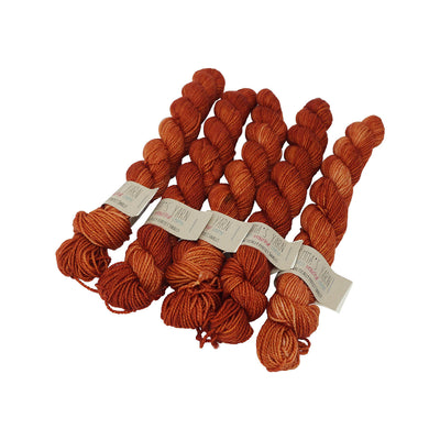Emma's Yarn - Practically Perfect Sock Minis - 20g - Foxy Lady