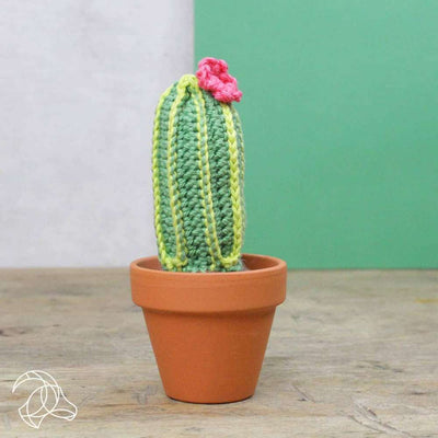 Hardicraft - Cacti (3 x Cactus) - Crochet Kit | Yarn Worx