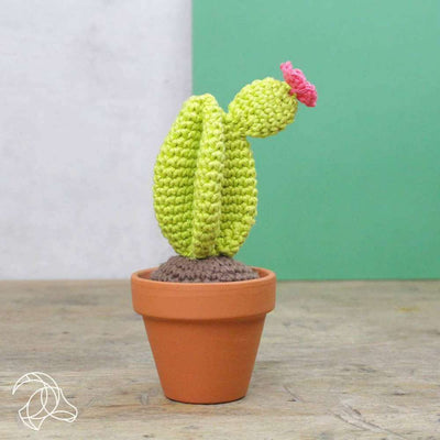 Hardicraft - Cacti (3 x Cactus) - Crochet Kit | Yarn Worx