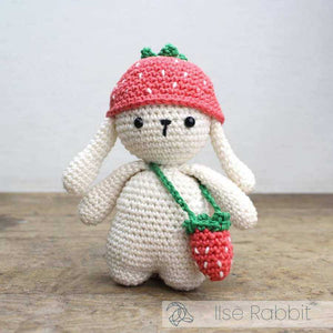 Hardicraft - Mini Santa Claus - Crochet Kit - Yarn Worx