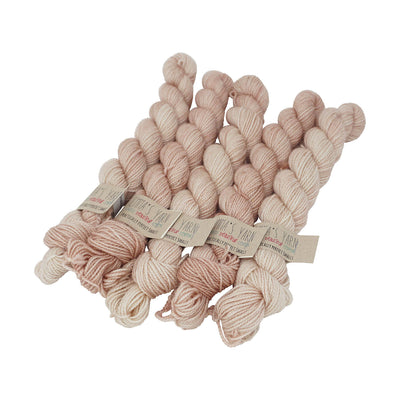 Emma's Yarn - Practically Perfect Sock Minis - 20g - Himalayan Salt