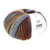 A ball of LANG yarn Cloud chunky yarn, featuring a variegated pattern of dusty purple, brown, rust red, and beige tones, with a white paper label wrapped around it, set against a plain white background | Yarn Worx