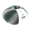A ball of LANG yarn Cloud chunky yarn, featuring a variegated color transition from dark green to light gray and teal, wrapped with a white paper label | Yarn Worx