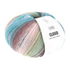 A skein of Lang Yarns Cloud merino wool yarn in a variegated pastel colorway, featuring stripes of blue, pink, and green, with a white paper label wrapped around it, on a solid white background | Yarn Worx