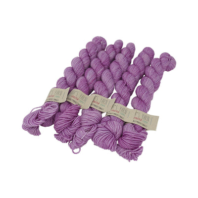 Emma's Yarn - Practically Perfect Sock Minis - 20g - Lilac You Alot