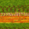 Luca-S Woolen Walk Superwash Sock Yarn shown in colourway 207-Lime-Fiesta | Yarn Worx