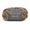 Luca-S Woolen Walk Superwash Sock Yarn | Yarn Worx