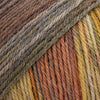 Luca-S Meraki 4-ply yarn shown in colour Autumn Trail | Yarn Worx