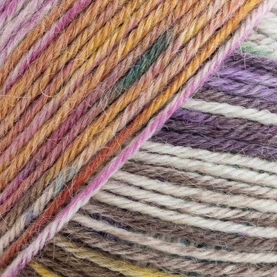 Luca-S Meraki 4-ply yarn shown in Wildflower Meadow | Yarn Worx