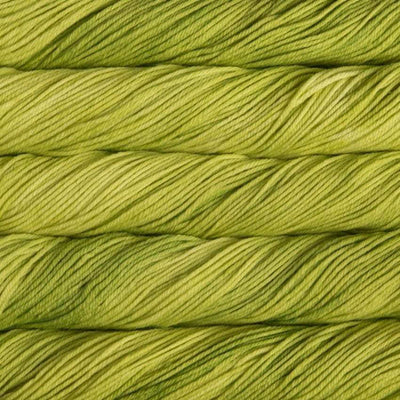 Malabrigo - Rios - 100g - Apple Green | Yarn Worx