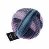 Schoppel Wolle - Crazy Zauberball Sock Yarn 1699 | Yarn Worx