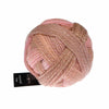Schoppel Wolle - Crazy Zauberball Sock Yarn 2694 | Yarn Worx