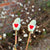 Stitch Stoppers - Love Gnomes - Various Colours