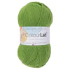 West Yorkshire Spinners - ColourLab DK Yarn - 100g shown in colourway Shamrock Green 1134 | Yarn Worx