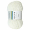 West Yorkshire Spinners - ColourLab Aran Yarn - 100g shown in colourway Winter White 1171 | Yarn Worx