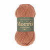 West Yorkshire Spinners - Morris DK - 50g shown in colourway Chrysanthemum | Yarn Worx