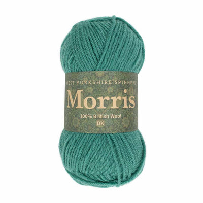 West Yorkshire Spinners - Morris DK - 50g shown in colourway Clover
| Yarn Worx