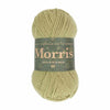 West Yorkshire Spinners - Morris DK - 50g shown in colourway Orchard
| Yarn Worx