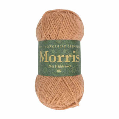 West Yorkshire Spinners - Morris DK - 50g shown in colourway Pimpernel
| Yarn Worx