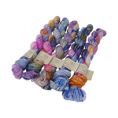 Emma's Yarn - Practically Perfect Sock Minis - 20g - Wing It