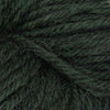 Baa Ram Ewe Eden DK - 100g shown in colourway 915 Prairie | Yarn Worx