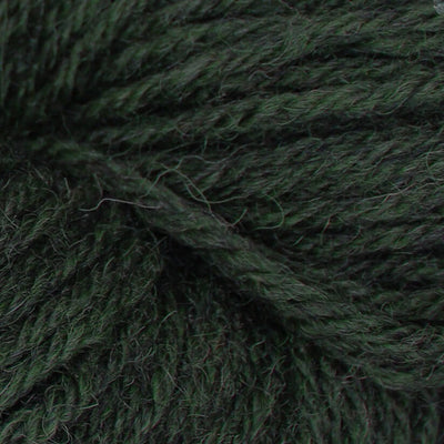 Baa Ram Ewe Eden DK - 100g shown in colourway 915 Prairie | Yarn Worx