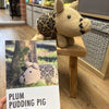 Plum Pudding Knitted Pig Kit (in Association with Baa Ram Ewe) | Yarn Worx