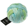 Schoppel Wolle - Edition 3 Sport Weight Yarn - Soft Tones |Yarn Worx