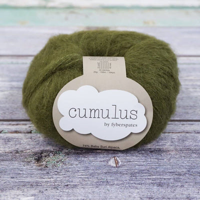 Fyberspates - Cumulus - 25g - Moss | Yarn Worx