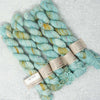 Emma's Yarn - Practically Perfect Sock Minis - 20g - Lake Totally | Yarn Worx
